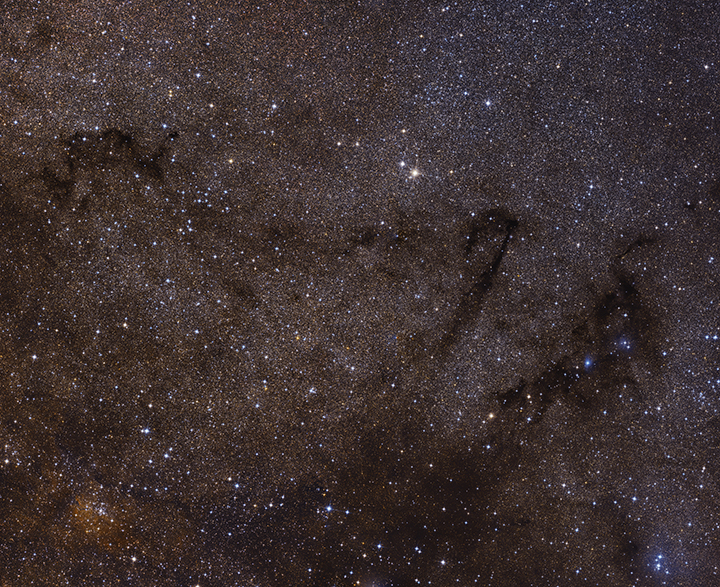 Milk Way Dark Nebulae